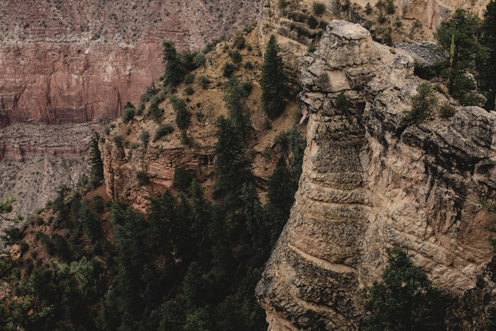 Photographie en plongée de Brown Rock Mountains