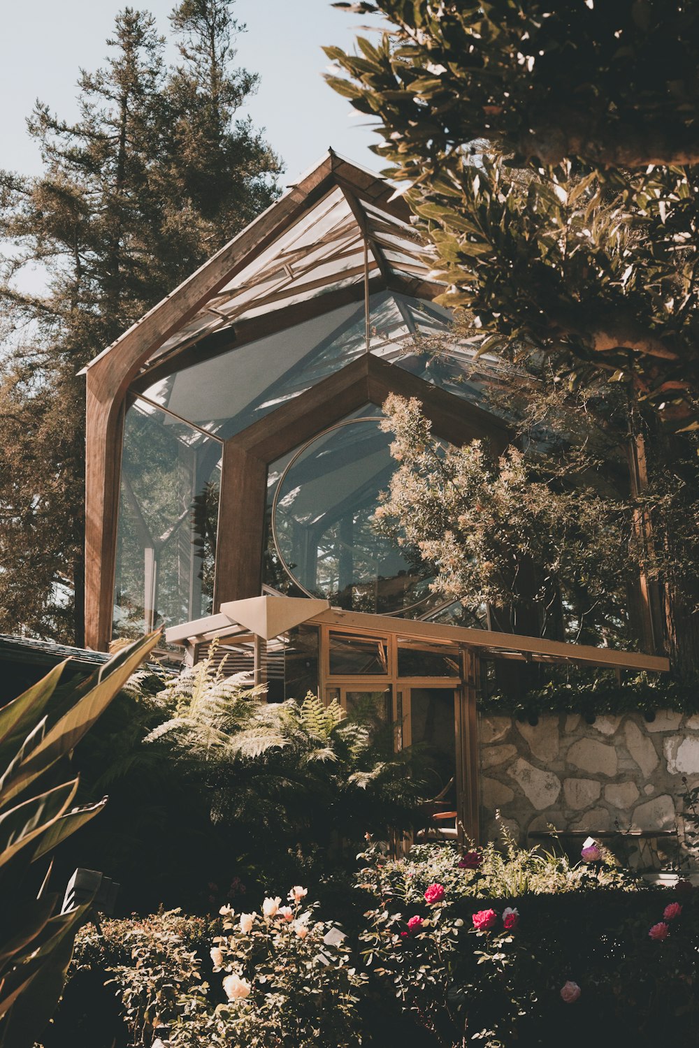 trees beside house