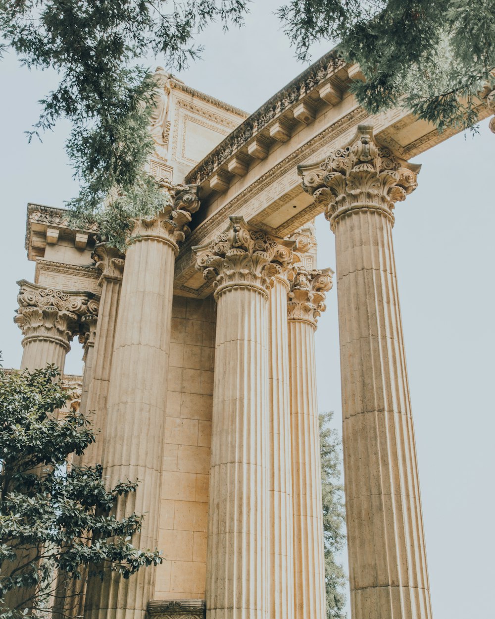 colonnes brunes près des arbres sous un ciel clair