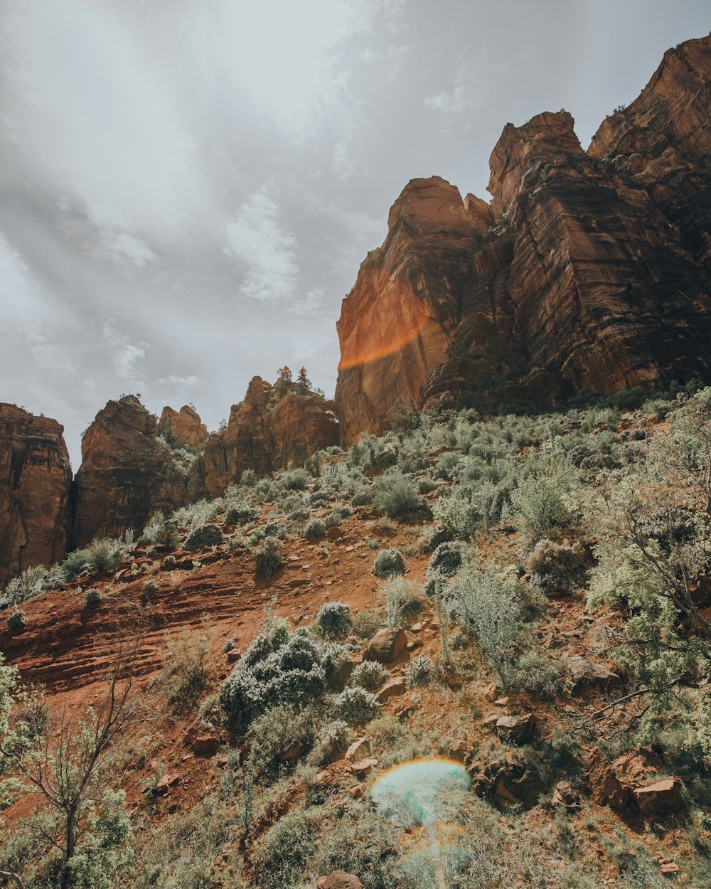 Fotografía de ángulo bajo de montaña y hierba