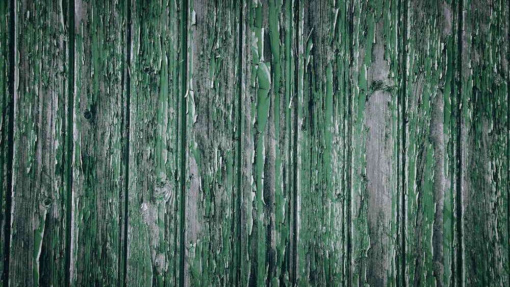 a green wooden wall with peeling paint on it