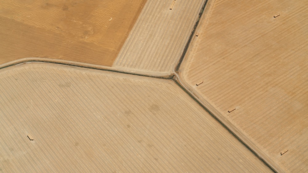 aerial view photography of rice field