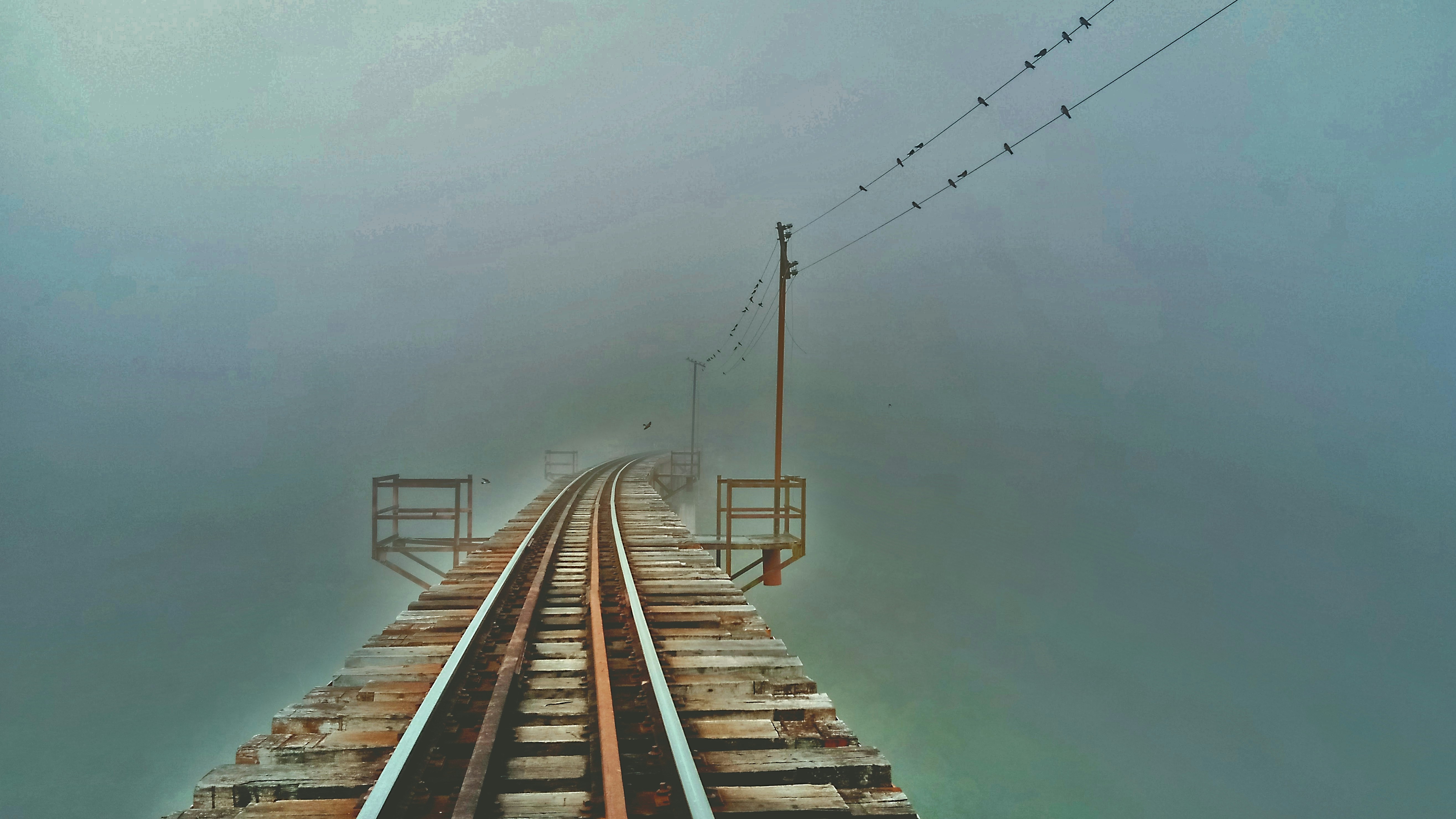 Photo by leonardo329cf