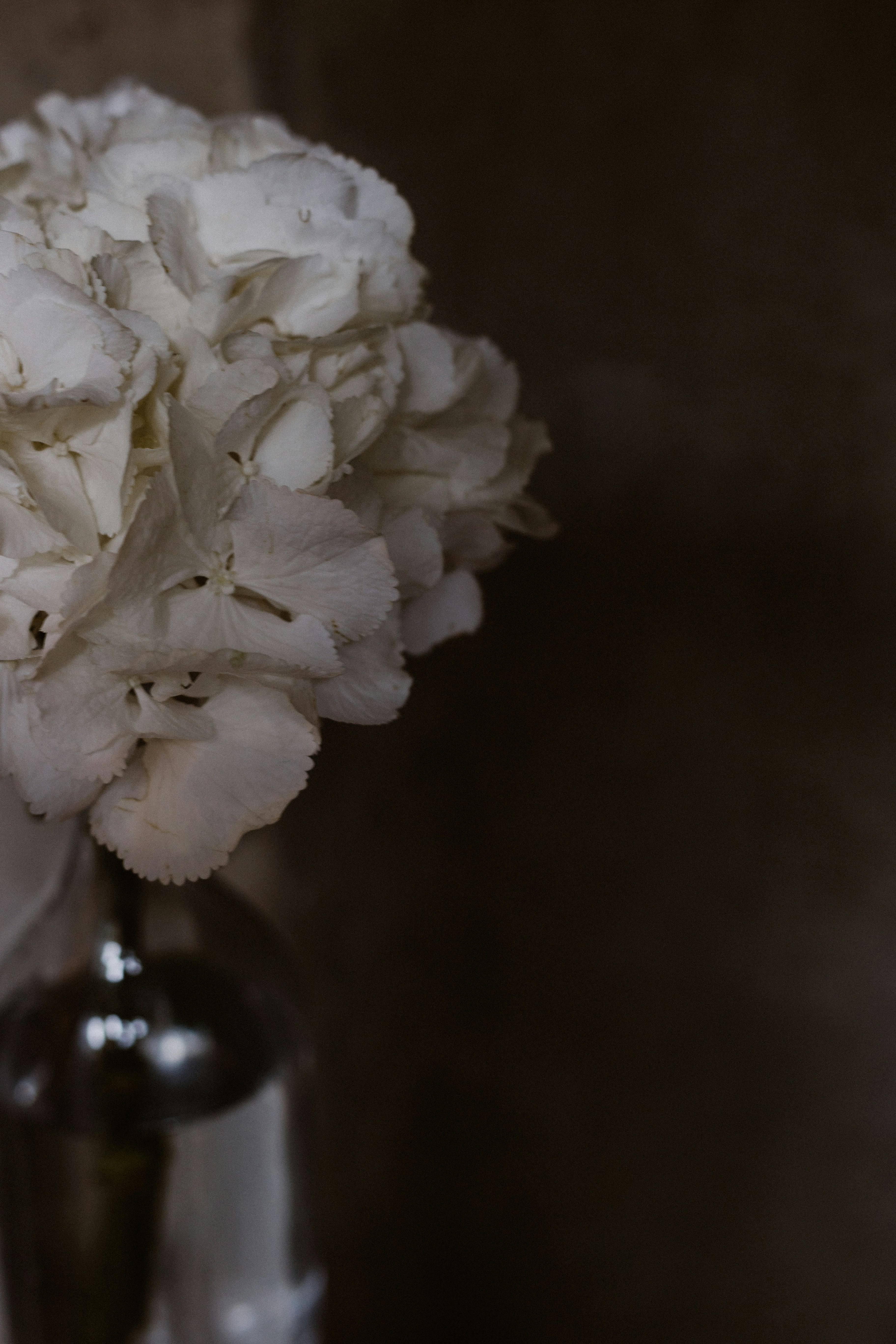 Photo by priscilladupreez