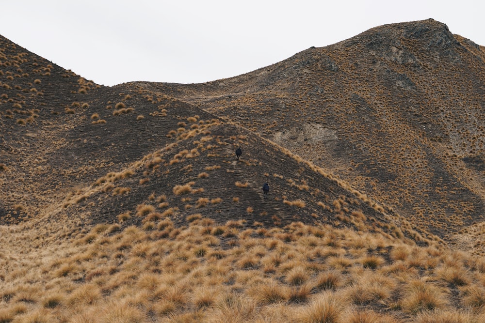 worm's-eye view of mountain