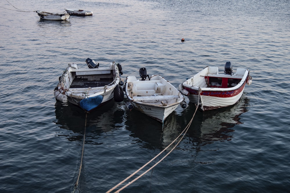 person taking photo of three white boats on water