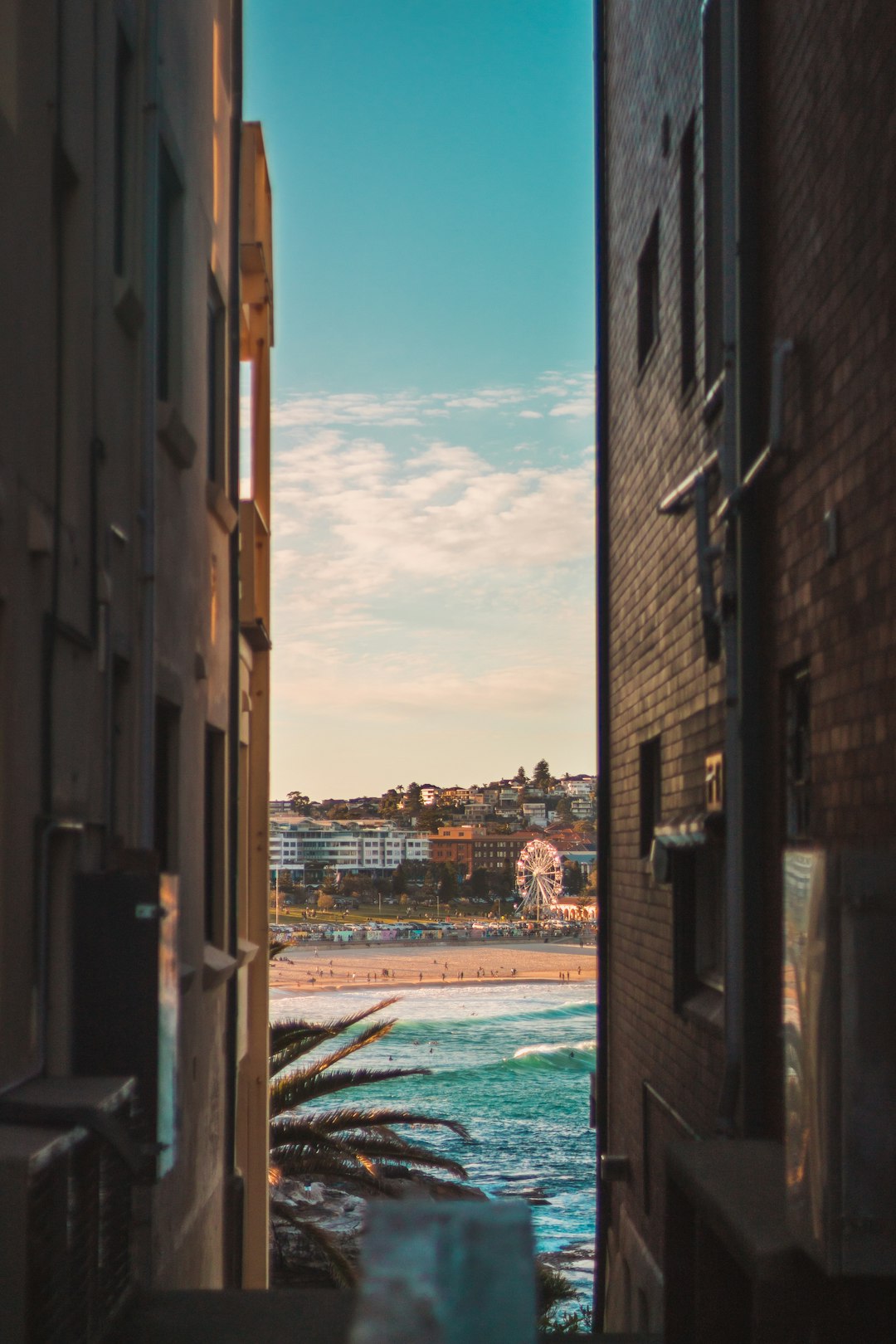 Town photo spot Bondi Beach Waverley Cemetery