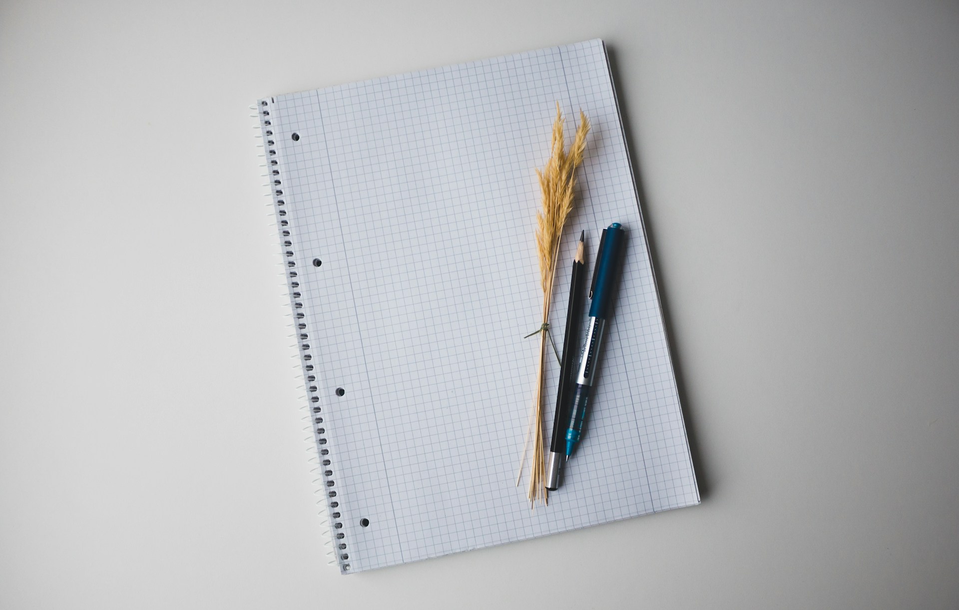 동사 형태 변화 개념도