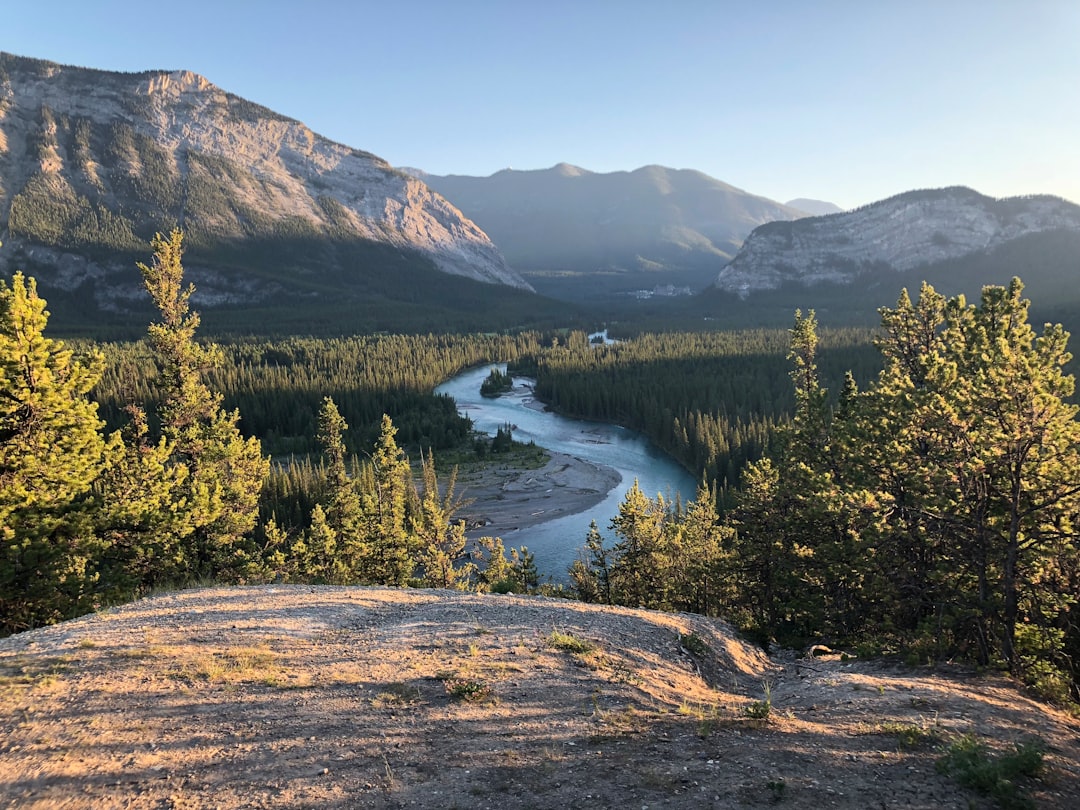 Nature reserve photo spot Banff Sulphur Mountain