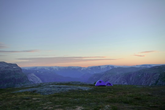 purple tent on hill at daytime in Trolltunga Norway