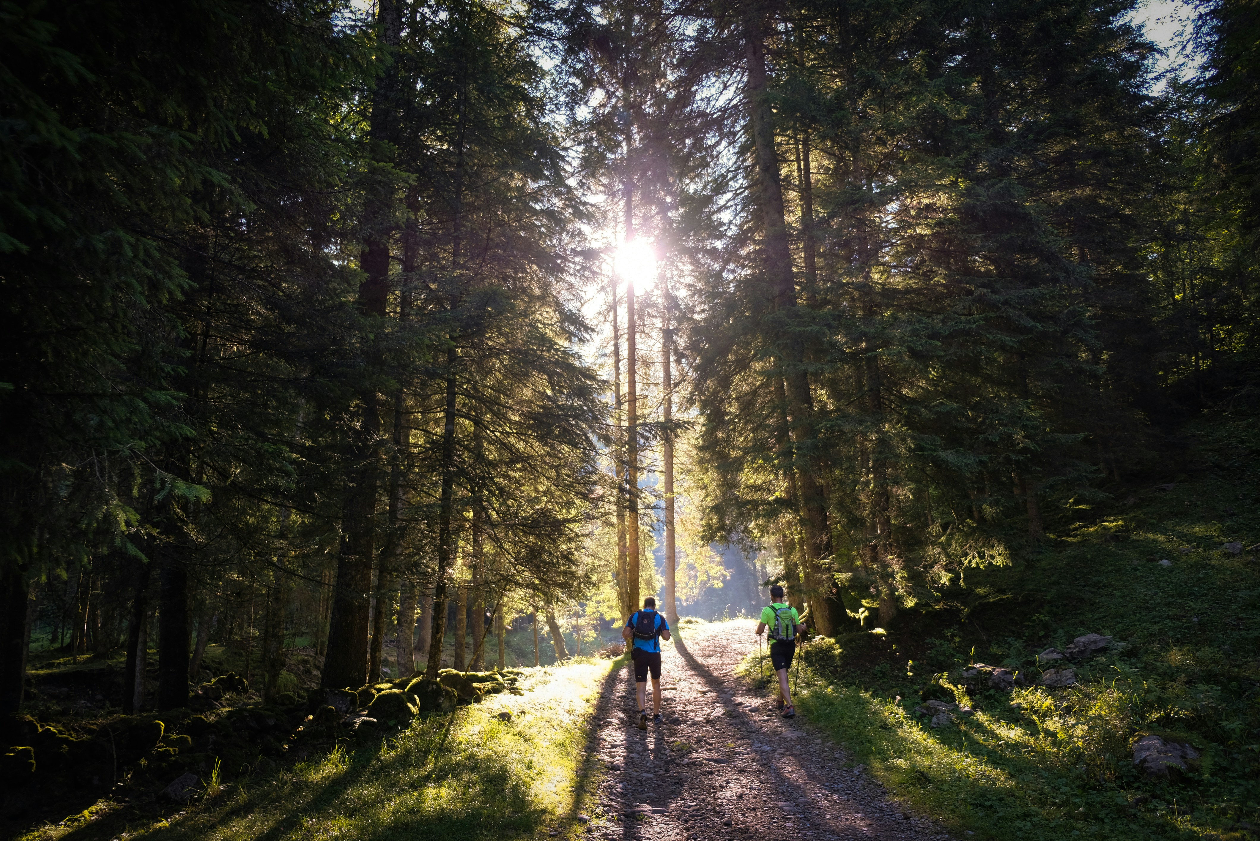 O Lord, let Your ears be attentive 
