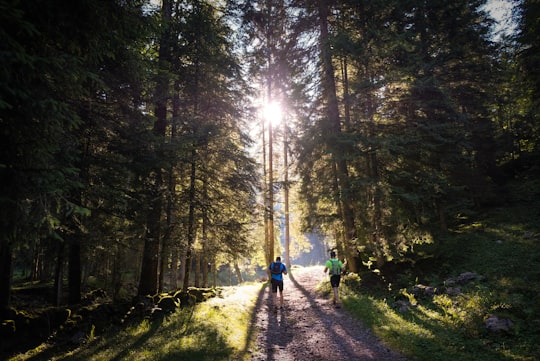 two men walking in the forest in Gandellino Italy