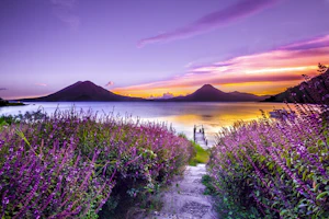 Day Trips & Excursions
