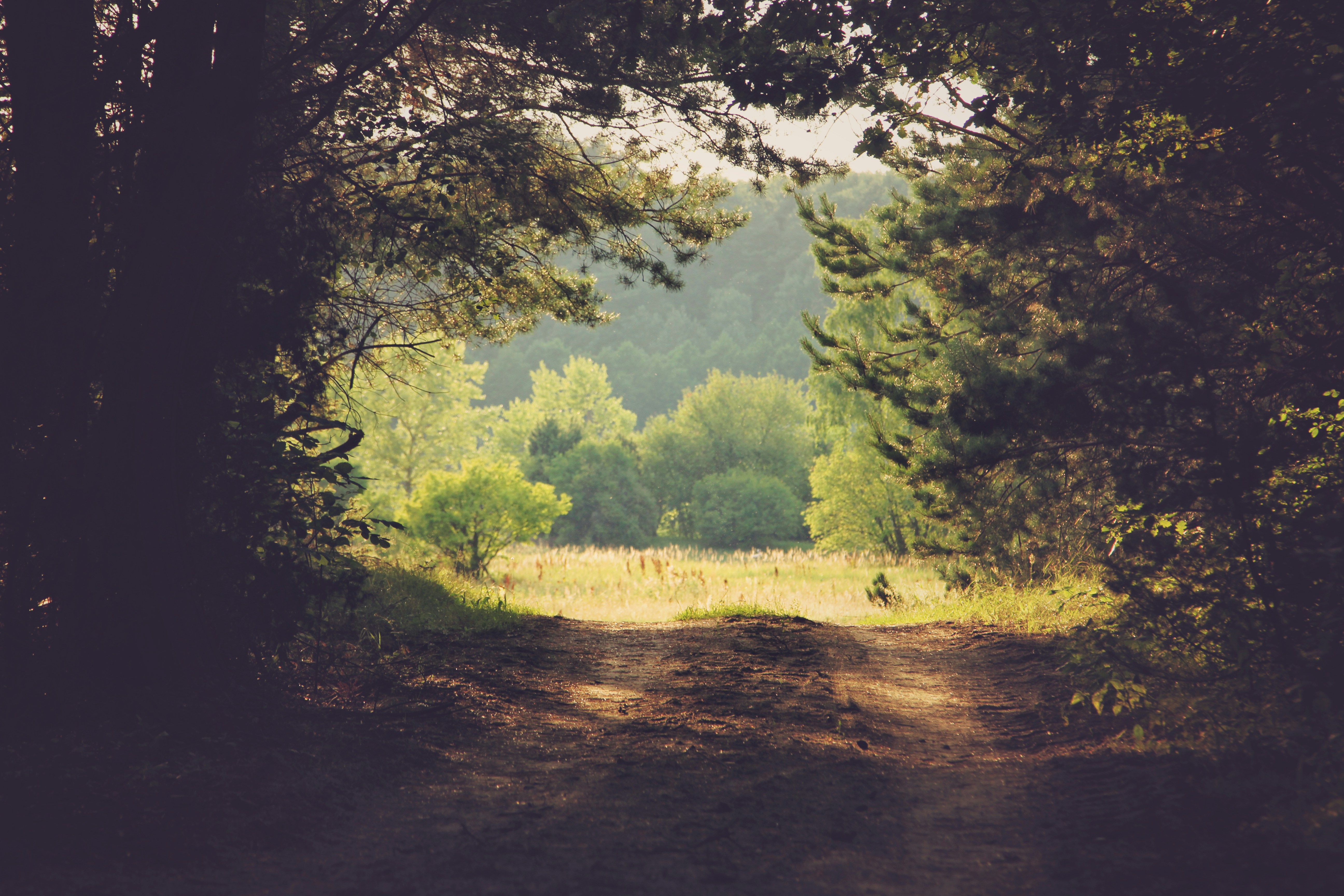 Photo by allthestars