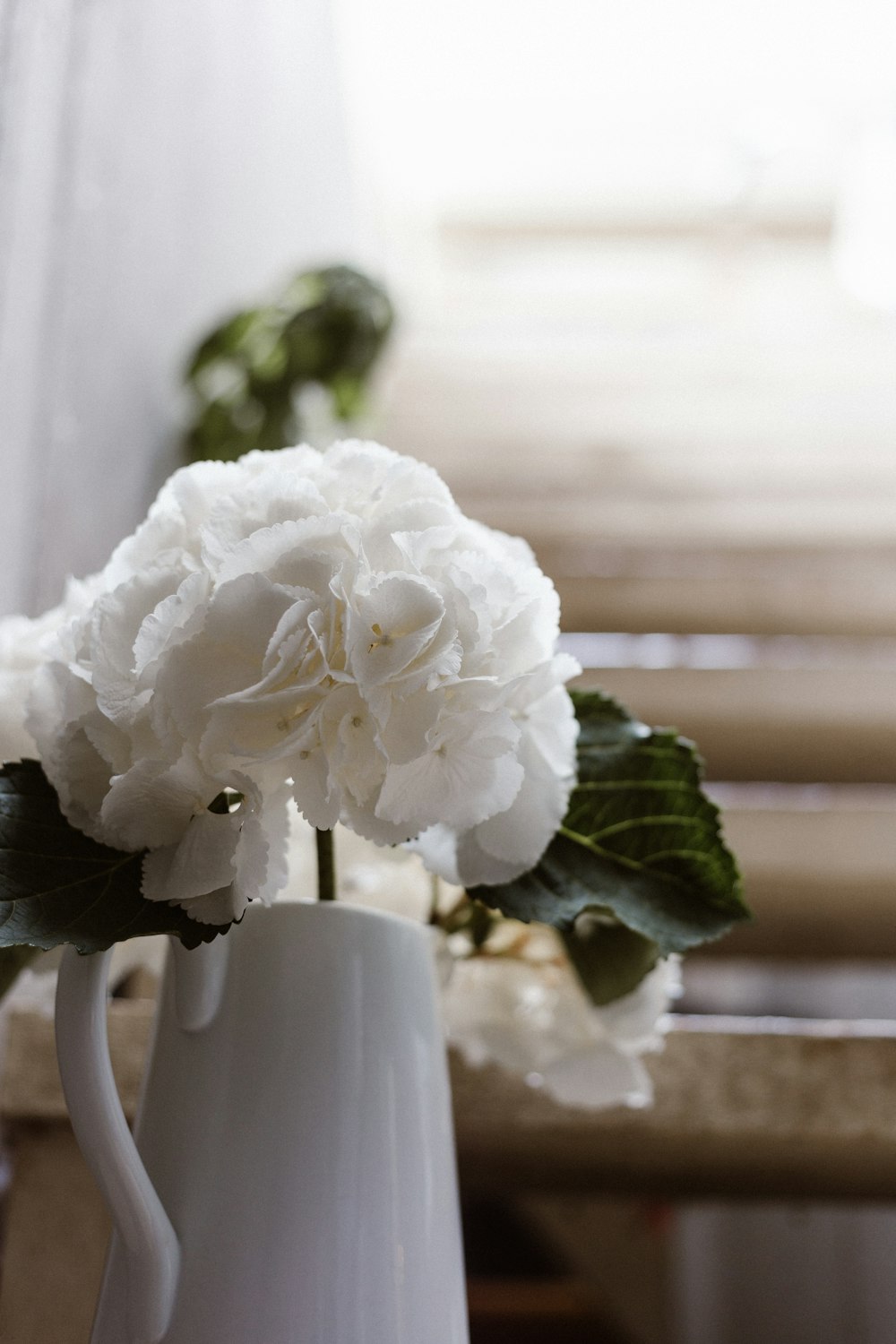 white flower bouquet