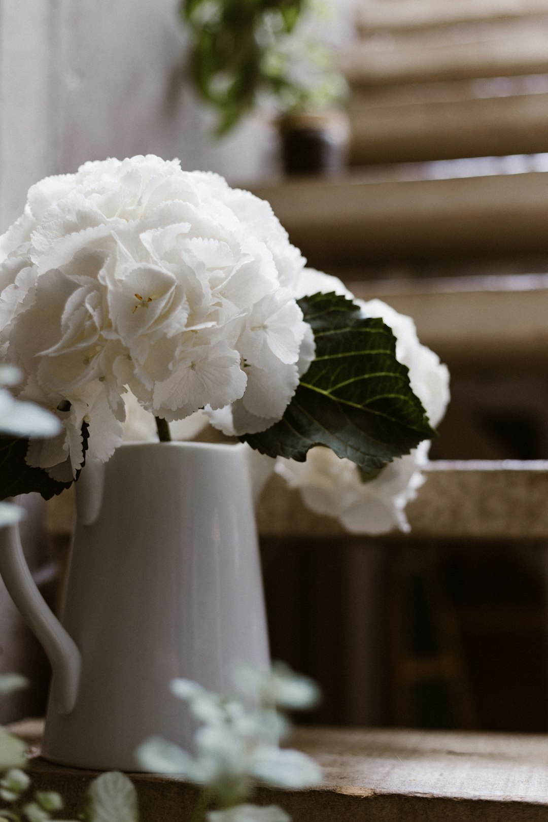 white cluster flowers