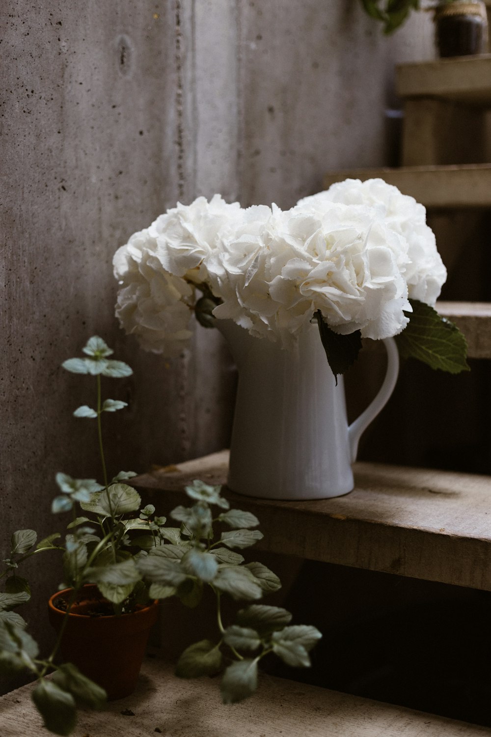 白い陶器の花瓶に白い花