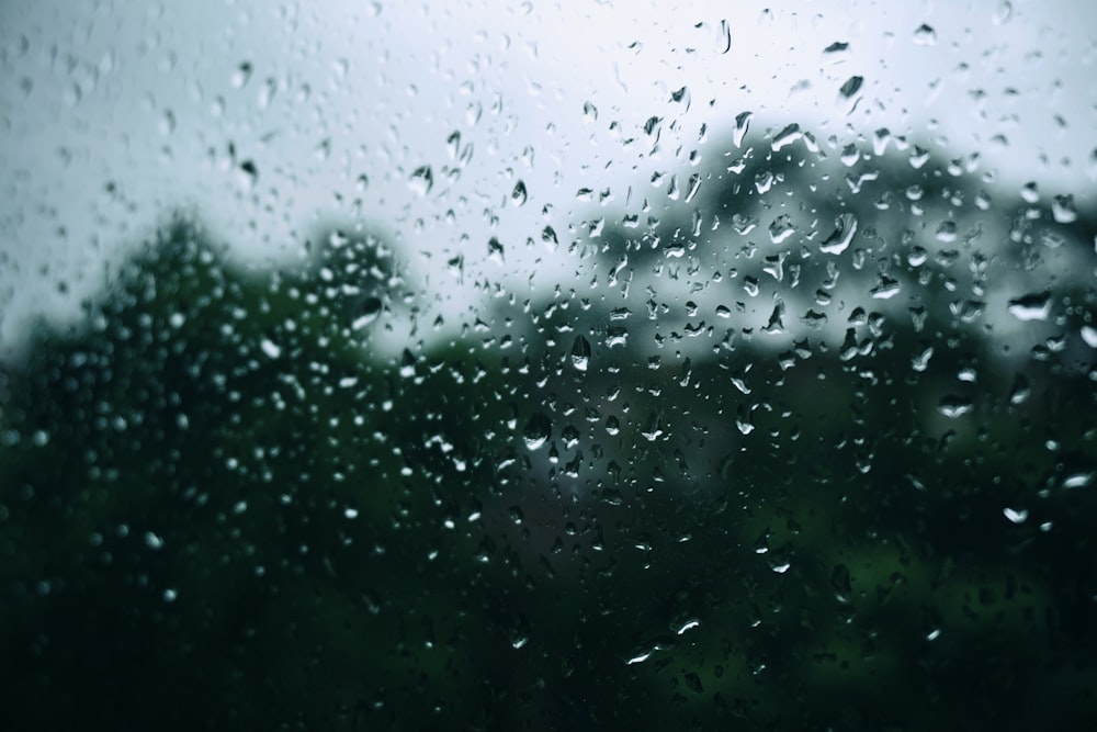 una ventana cubierta de lluvia con árboles en el fondo