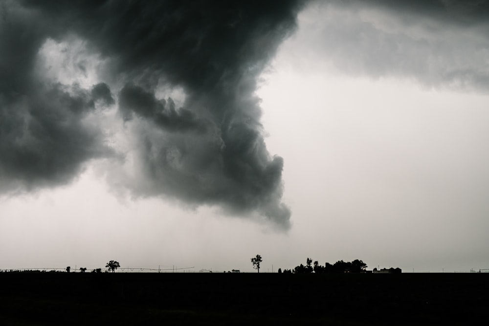 木と雲