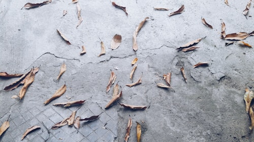 A cracked concrete surface is scattered with dry, brown leaves. The texture of the concrete is rough and worn, with various shades of gray and dark patches adding depth. The leaves are curled and crunchy, suggesting an autumn setting.