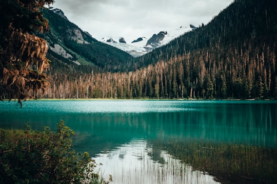 Joffre Lakes Provincial Park things to do in Pemberton