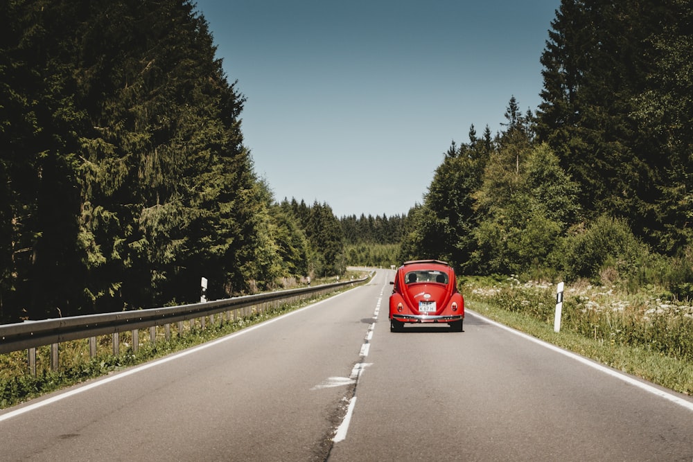 red Volkswagen Beetle travelling on road near trees during daytime