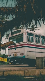 A vintage bus is parked under a cloudy sky, partially obscured by large, overhanging palm branches. The bus has a classic design with red and teal stripes and visible license plate details. Signs in a non-English script are present near the bus.