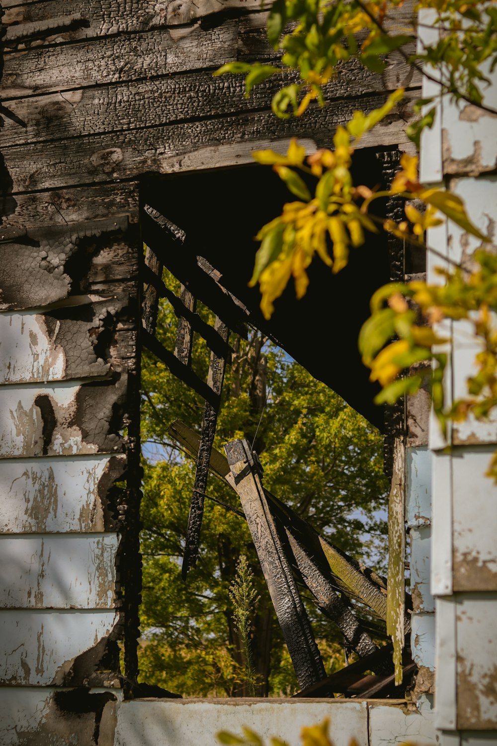 brown and gray house window