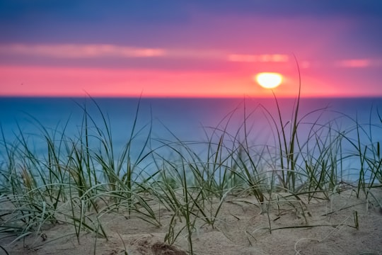 photo of Shoalhaven Heads Shore near Booderee National Park