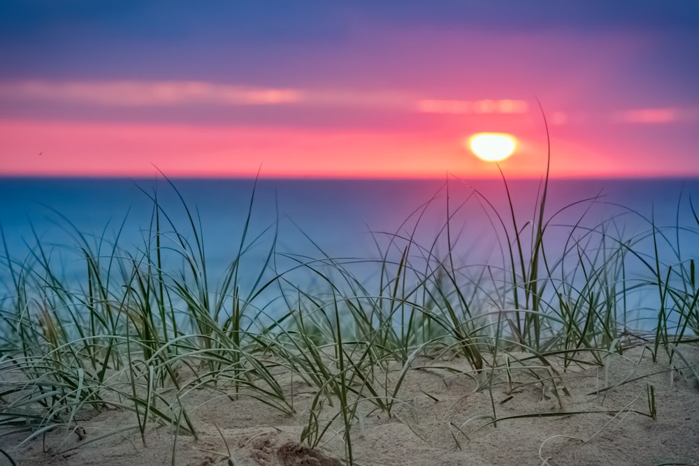 ocean shore during daytime