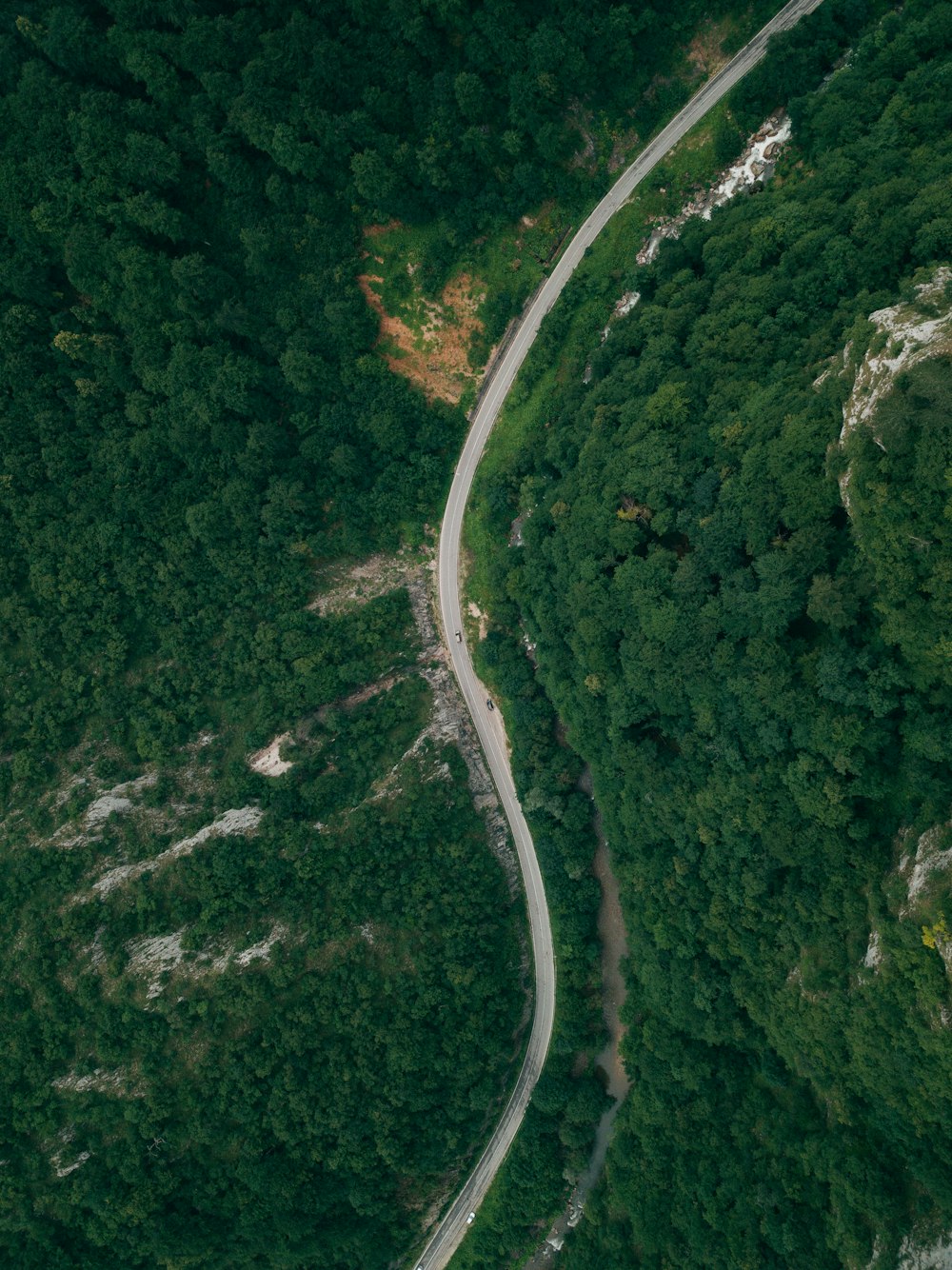 aerial view of road between forest