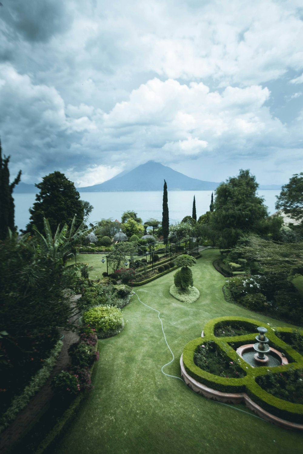 jardin de fleurs vertes vue mer sous ciel blanc et bleu