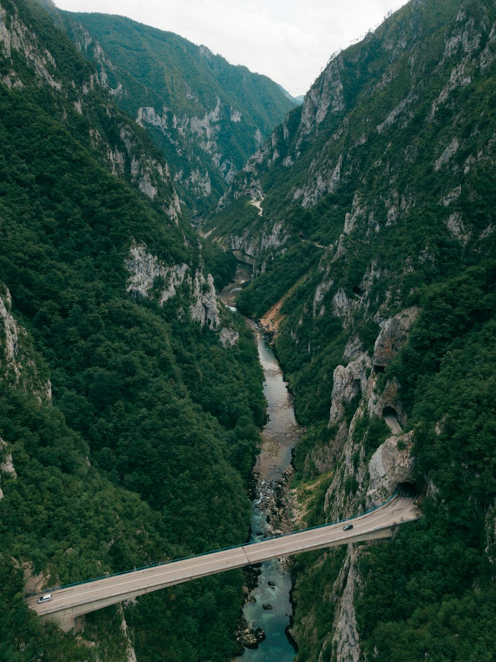 aerial photography of bridge