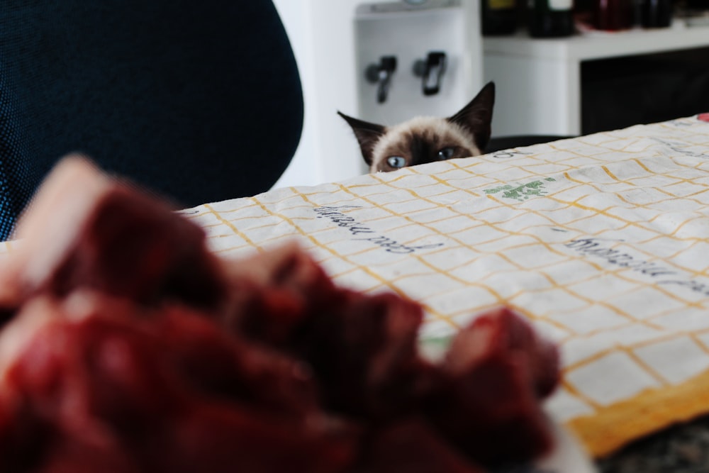 Siamkatze guckt in die Nähe der Tischkante