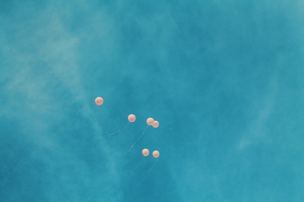 Vista de ángulo bajo de seis globos naranjas durante el cielo azul