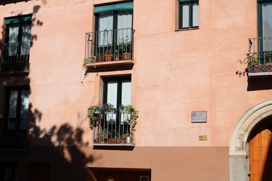 brown concrete building with plant pot during daytime in Segovia Spain