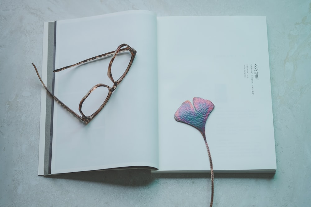 brown eyeglasses on opened book