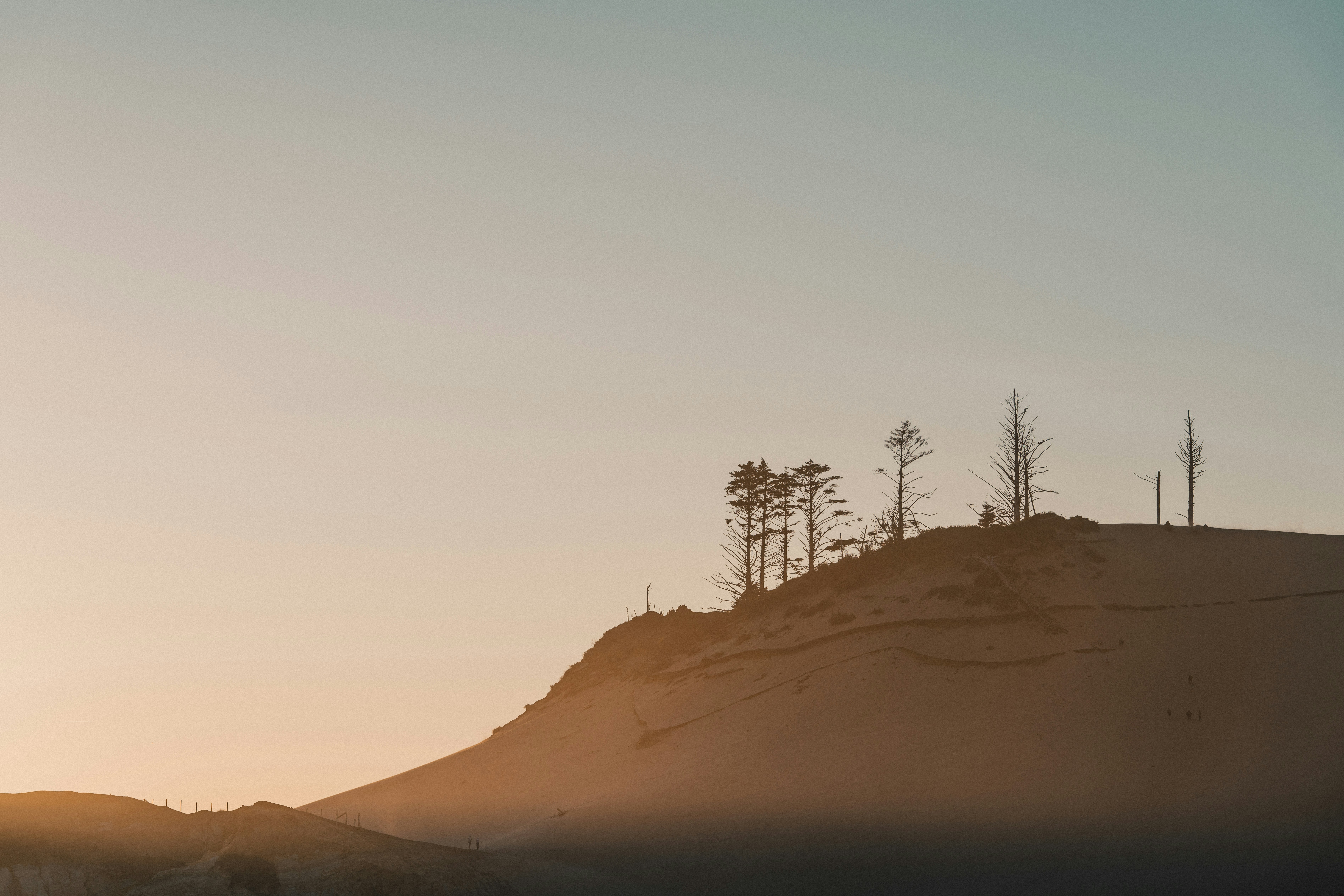 Photo by cristofer