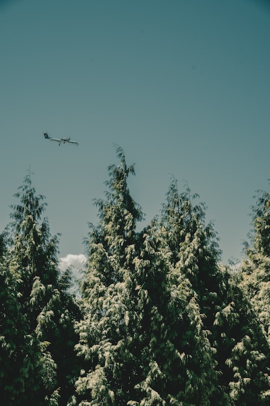 plane on flight in Portland United States