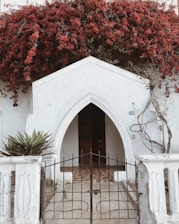Entrance of a charming Lucknow BnB with traditional arches and vibrant flowers.