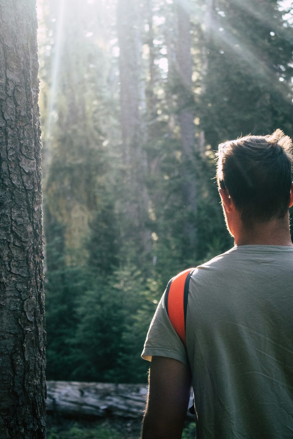 man standing near tree while facing sunlight