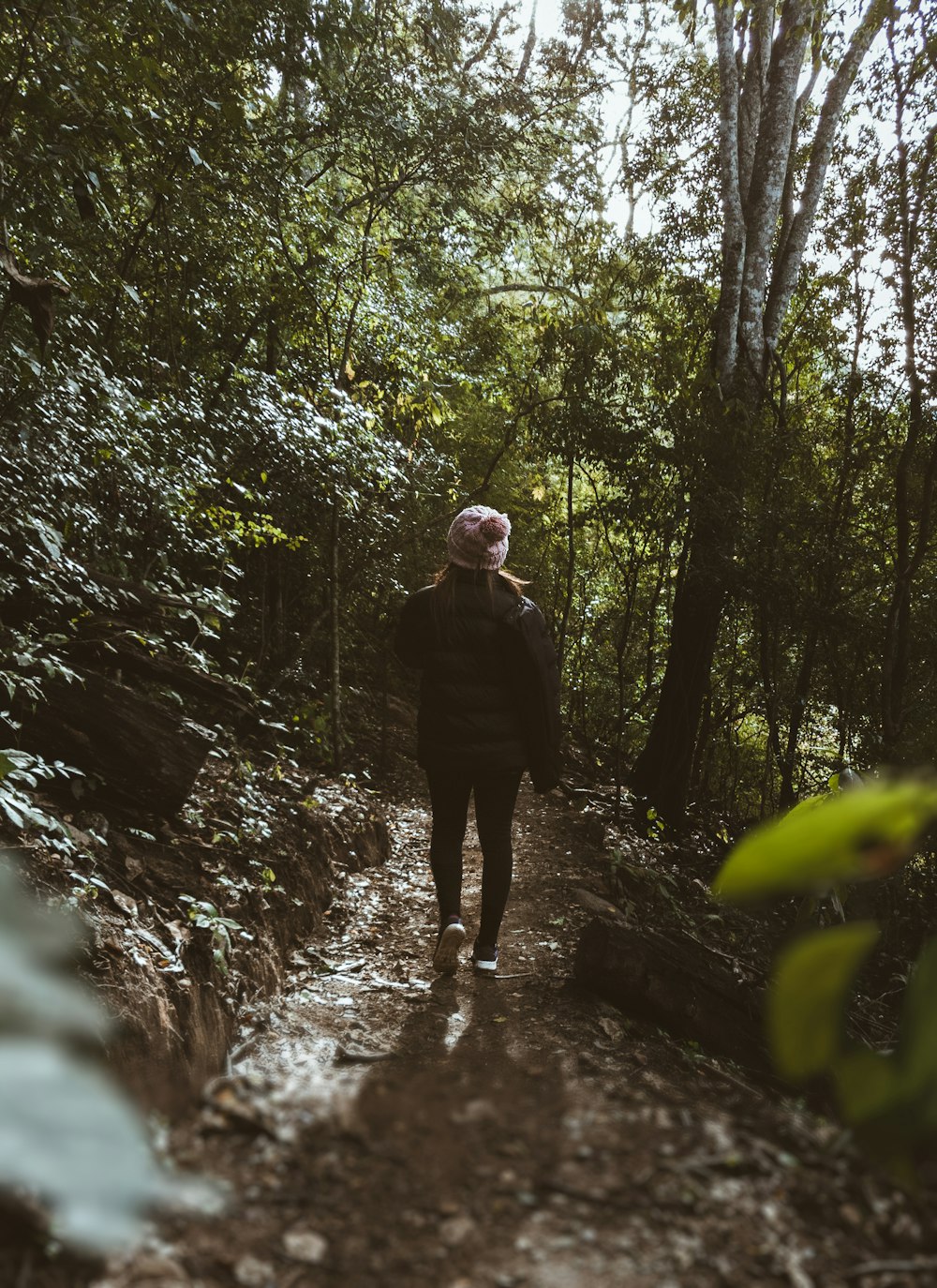 person standing between trees