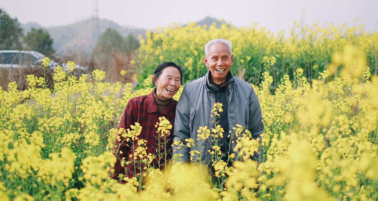 man and woman standing surrounded by yellow flowers