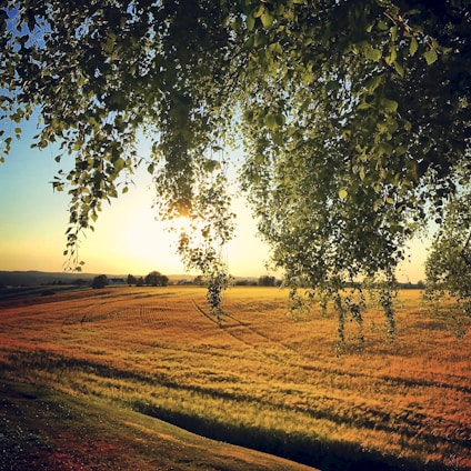 Rolling fields of fertile farmland with a rustic barn and a warm sunset in the background.