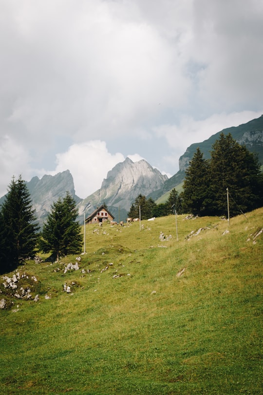 mountain peak during daytime in Seealpsee Switzerland