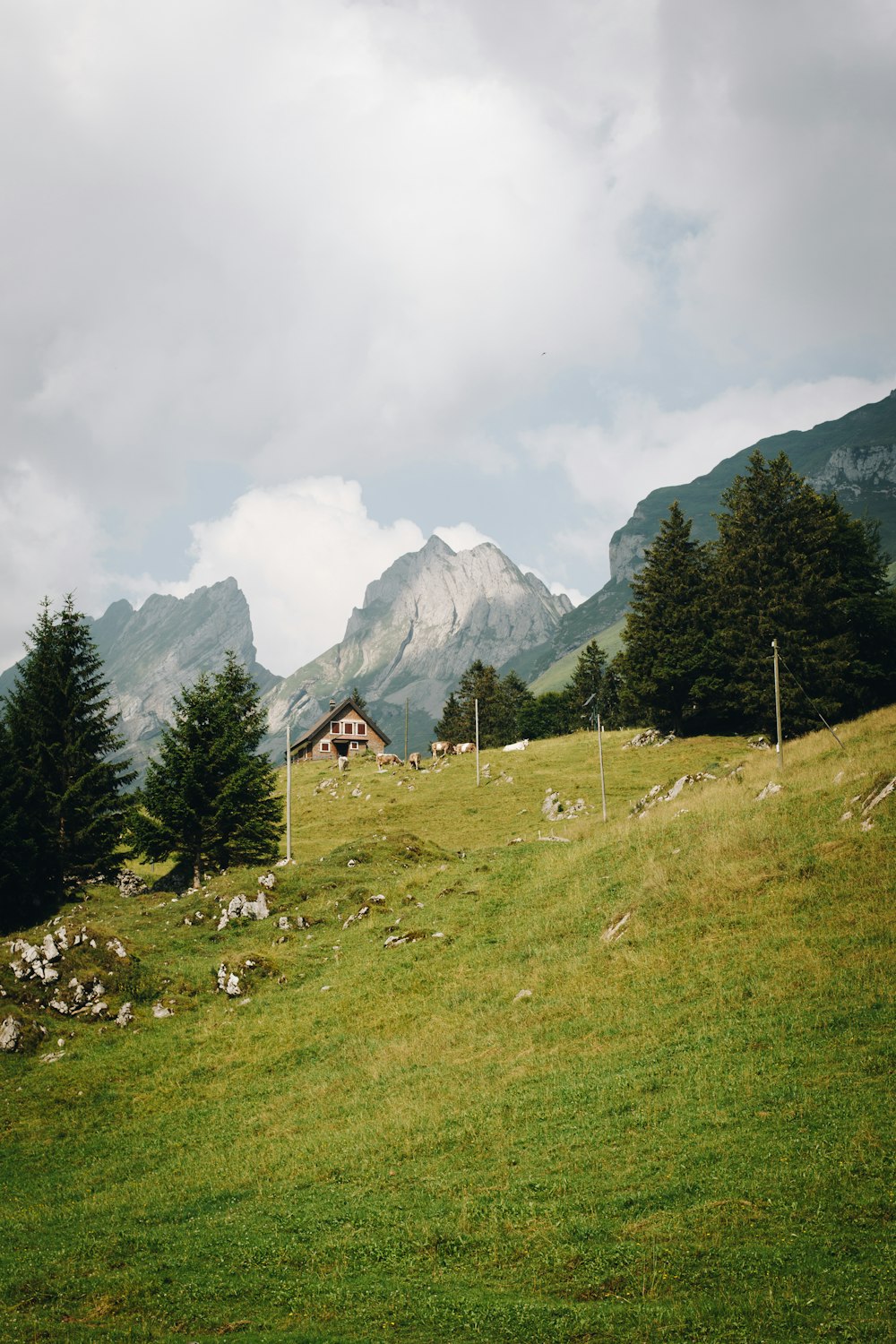 mountain peak during daytime