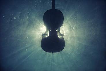 black violin on underwater digital wallpaper