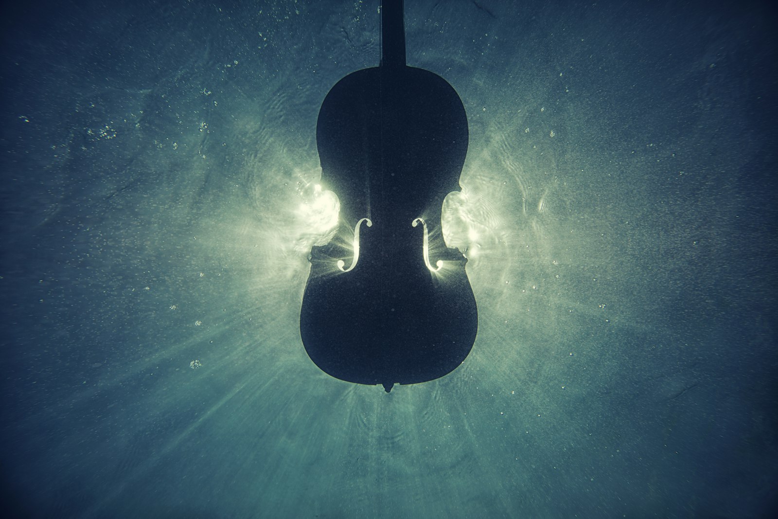 Canon EOS 5D Mark II + Canon EF 16-35mm F2.8L II USM sample photo. Black violin on underwater photography