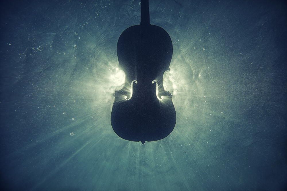 black violin on underwater digital wallpaper