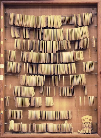 A wooden display case filled with rows of neatly arranged wooden pieces, likely templates or parts for violins. The pieces vary in shape and size, with some having small holes or markings. The case has a natural wood finish, adding to the rustic and artisanal feel.